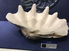 -大连自然博物馆