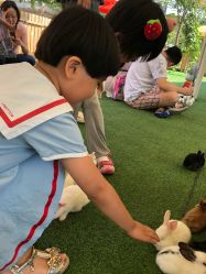 -萌宠亲子动物乐园(槐房万达店)