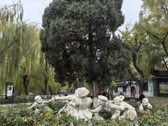 -文瀛公园