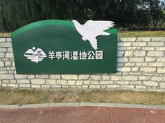 -羊亭河湿地公园