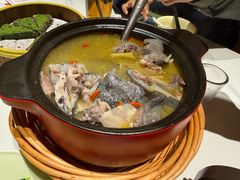 野生甲鱼炖土鸡-阿露佳·舌尖上的安吉菜