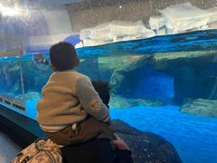 -海合安武汉极地海洋公园
