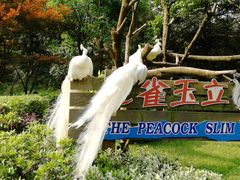 -宁波野生动物园