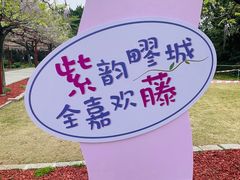 -嘉定紫藤园