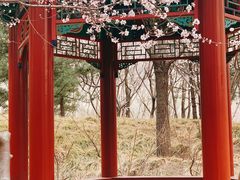 -北坞公园