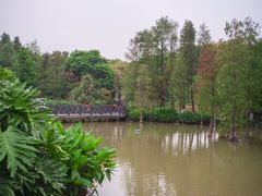 -海珠湖公园