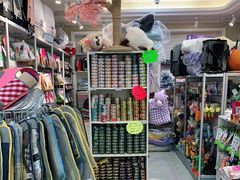 -北京观赏动物医院·24小时大型综合·猫专科·异宠专科