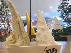 -野人先生Gelato(上海长宁龙之梦店)