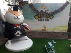 -柴犬高等学院·狗咖·柴犬售卖·宠物训练