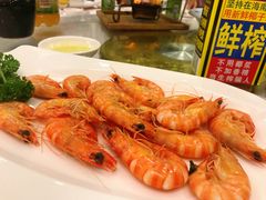 白灼活海虾-聚春园自助餐厅(东街口店)