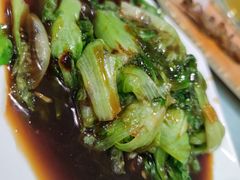 生菜-新疆伊宁远征餐厅