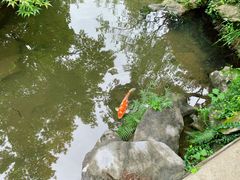 -杭州西子湖四季酒店-WL BISTRO西湖餐厅(灵隐路店)