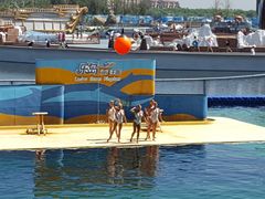 -秦皇岛乐岛海洋王国