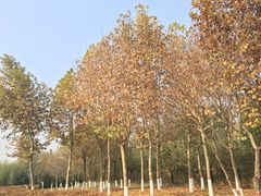 -西安汉城湖景区