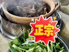 -霞姐屯昌枫木香草鸭店(海螺店)