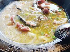 鲜椒麻辣青锅-鲜椒鱼·雅安地标性美食