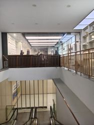 -YESIDO椰岛造型