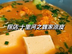 -魏家凉皮(十里河店)