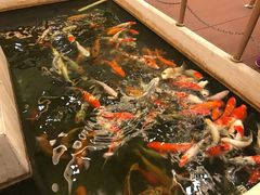 -太子园林酒家