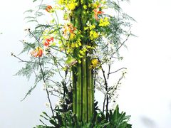 -深圳国际园林花卉博览园