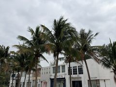 -玫瑰海岸文化旅游度假区
