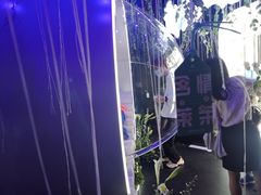 -VT101维多利广场