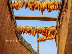 -函谷关历史文化旅游区