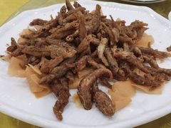 美极山坑鱼-姚林轩