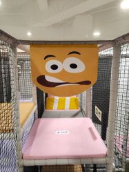 -meland club亲子乐园(重庆万象城店)