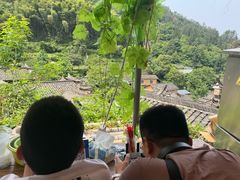 -杨家堂村