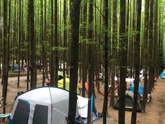 -山王坪喀斯特国家生态公园