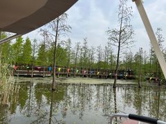 -同里国家湿地公园