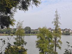 -美的鹭湖森林度假区
