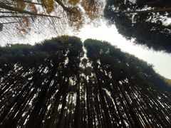 -山王坪喀斯特国家生态公园