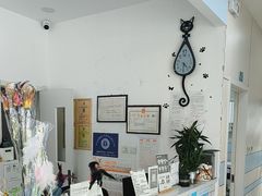 -中农国际动物医院24小时·猫科·骨科·急重症中心
