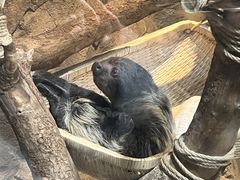 -海合安武汉极地海洋公园
