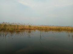 -白洋淀景区