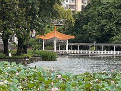-荔湾湖公园