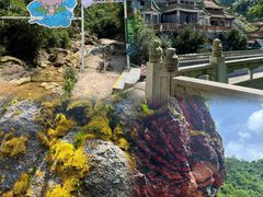 -南海湾森林生态园