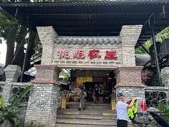 -桃姐农庄老字号(增城分店)