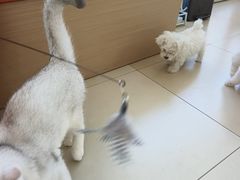 -美迦爱-牙专科·兔科·骨科诊疗中心(北苑店)
