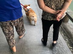 -汪保来(杭州解放路店)