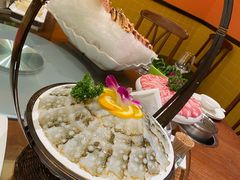 活海参-东海怡品海鲜豆捞(星街坊店)