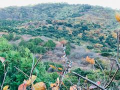 -北京西山国家森林公园