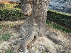 -平遥县衙