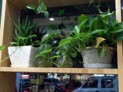 -鲜目录·中国寿司(开源路店)