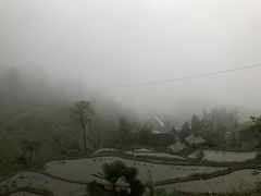 -紫鹊界梯田景区