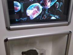 -扬州科技馆