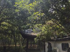 -汇龙潭
