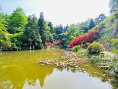 -莫干山风景区
